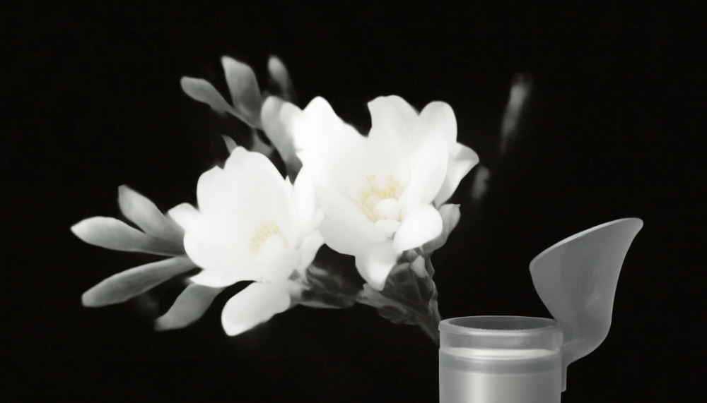 Karine Le Marchand a balancé le tout en partageant une photo de son pied qui a eu une opération