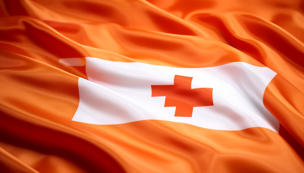 Divers - Toulouse : quel service appelé en situation d'urgence médicale ?